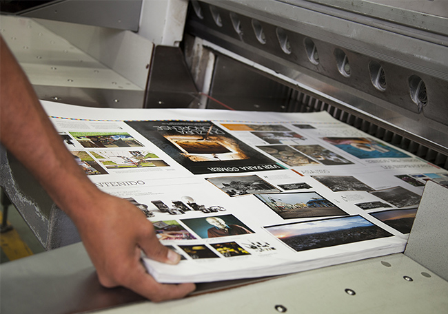 local poole printing - printing machine - leaflets